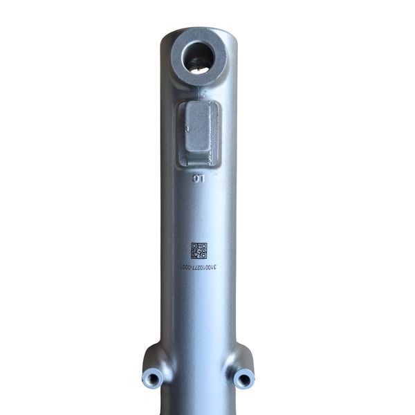 Передня вилка в зборі Model 250 А0060348 фото
